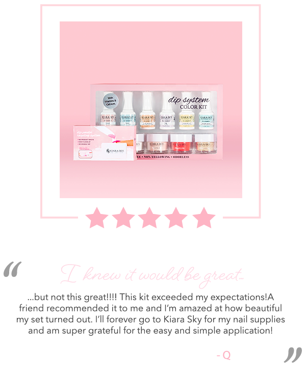 Dip Starter Kit Review